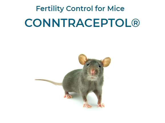 Conntraceptol for Mice