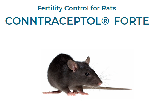 Conntraceptol Forte for Rats